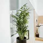 Apartment Ady54 Tata