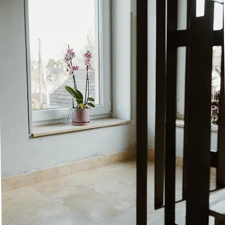 Apartment Ady54