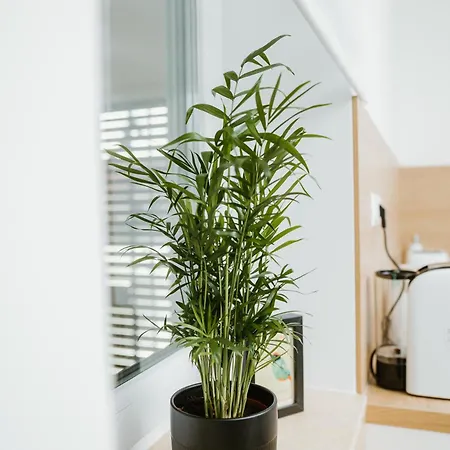 Appartement Ady54 Tata